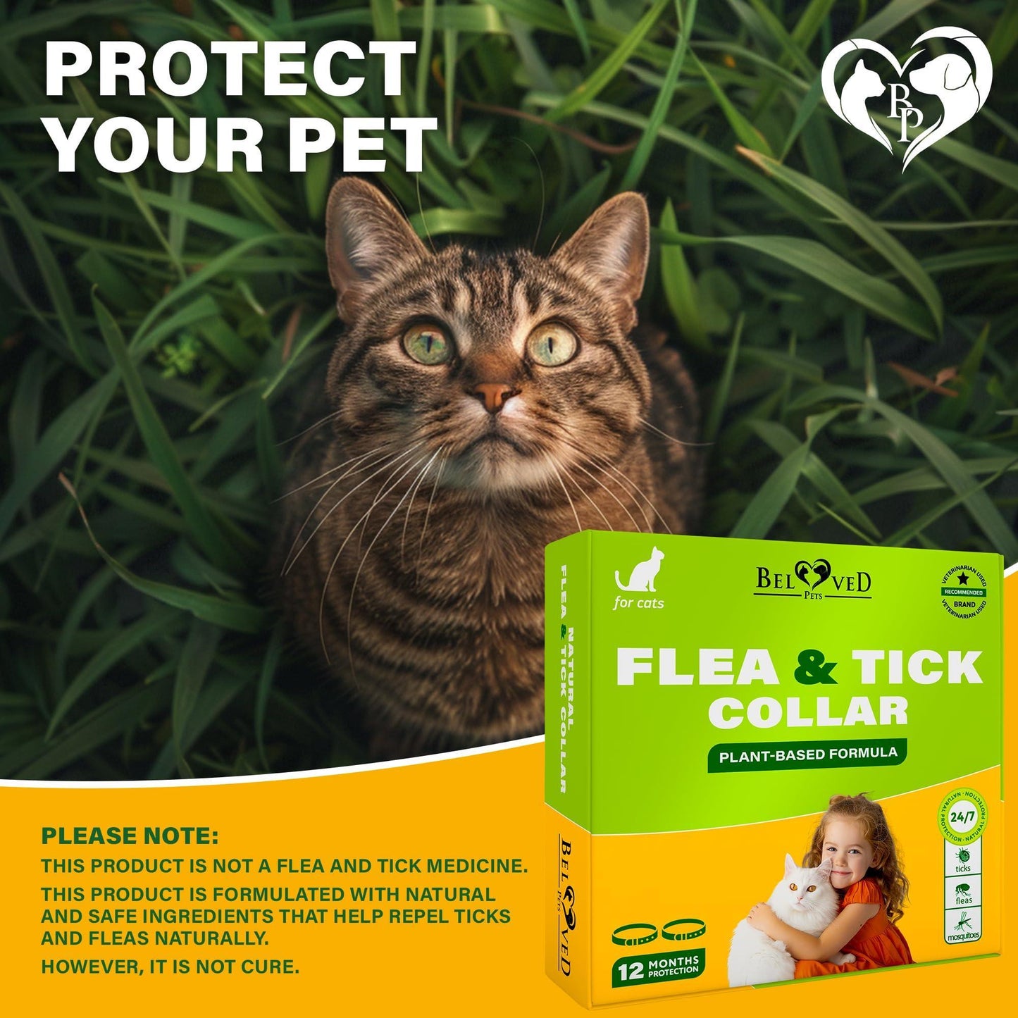 Beloved Pets Natural Flea & Tick Collar for Cats. 12 Months Control of Best Prevention & Safe Treatment with Essential Oil Repellent (1 Count) For Pet With Love