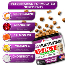 Load image into Gallery viewer, Vet Promise 15IN1 Multivitamin Supplement Complex for Dogs with Glucosamine. Joint Support, Immunity, Mobility, Energy, Gut, Skin Health Support. (120 Chews. Chicken Flavor) For Pet With Love