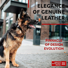 Load image into Gallery viewer, WAUDOG Adjustable Long Lasting Leather Dog Collar with Durable Buckle D Ring & QR Dog Tag. LARGE. Black. For Pet With Love