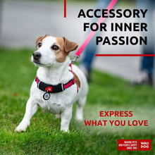Load image into Gallery viewer, WAUDOG Nylon Dog Leash for Small Dogs and Medium Dogs 4 Ft Strong Dog Leash For Pet With Love