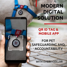 Load image into Gallery viewer, WAUDOG Waterproof Dog Harness Adjustable Dog Harness for Large Dogs Small and For Pet With Love