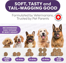 Load image into Gallery viewer, PETSOLOGY Multivitamin Chews for Dogs with Glucosamine, Omega 3 & Probiotics. (2 Pack) 340 Chews For Pet With Love