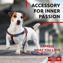 Load image into Gallery viewer, WAUDOG Nylon Dog Leash for Small Dogs and Medium Dogs 4 Ft Strong Dog Leash For Pet With Love