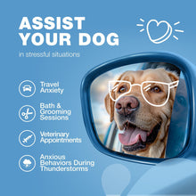 Load image into Gallery viewer, CHEWIA Hemp Calming Anxiety Relief Chews for Dogs 180 Chews For Pet With Love