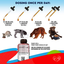 Load image into Gallery viewer, Beloved Pets Liquid Herbal Medicine & Natural Broad Spectrum DEWO Treatment 2 Oz For Pet With Love