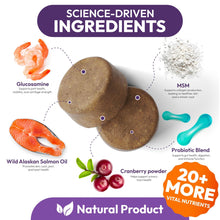 Load image into Gallery viewer, PETSOLOGY Dog Multivitamin and Hip & Joint Support with Glucosamine 170 Chews