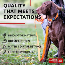 Load image into Gallery viewer, WAUDOG Waterproof Dog Leash 4 Ft 6 Ft Anti Slip Dog Leash for Large Dogs For Pet With Love