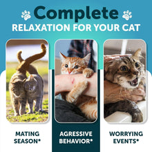Load image into Gallery viewer, Artullano Hemp Cat Calming Treats for Stress & Anxiety Relief 135 Chews For Pet With Love