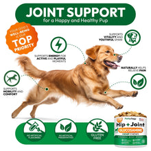 Load image into Gallery viewer, PETSOLOGY Hemp Hip and Joint Mobility Support Supplement for Dogs 170 Chews