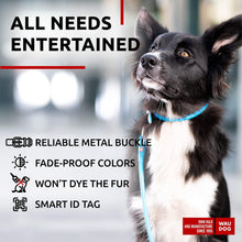 Load image into Gallery viewer, WAUDOG Ultra Soft Rolled Leather Dog Collar BLUE SMALL