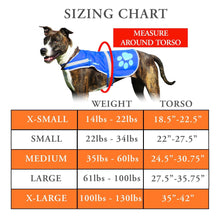 Load image into Gallery viewer, SafetyPUP XD Urban Dog Reflective Vest - SMALL - Blue - Fits Dogs 22lbs - 35lbs