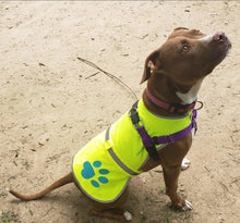 Load image into Gallery viewer, SafetyPUP XD Hi-Vis Dog Safety Reflective Vest - Neon Yellow - XSMALL - Fits Dogs 14lbs - 22lbs For Pet With Love