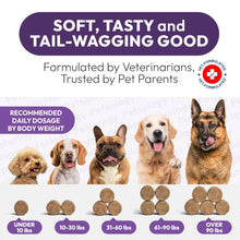 Load image into Gallery viewer, PETSOLOGY Dog Multivitamin and Hip & Joint Support with Glucosamine 170 Chews