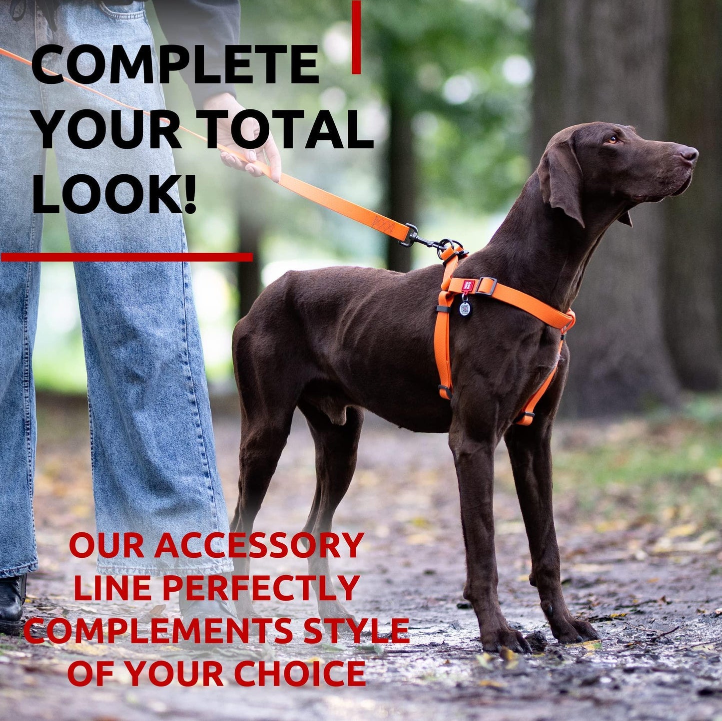 Waterproof Dog Leash 4 Ft 6 Ft Anti Slip Dog Leash for Large Dogs Small and For Pet With Love