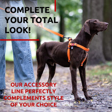 Load image into Gallery viewer, Waterproof Dog Leash 4 Ft 6 Ft Anti Slip Dog Leash for Large Dogs Small and For Pet With Love