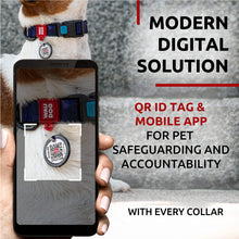 Load image into Gallery viewer, WAUDOG Adjustable Nylon Dog Collar with Durable Plastic Buckle and QR Dog Tag. SMALL (NASA-2 Print) For Pet With Love