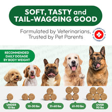 Load image into Gallery viewer, PETSOLOGY Natural Flea and Tick Prevention Treatment for Dogs Vet Formulated Oral Defense Supplement for All Breeds & Ages 170 Soft Chews Made in USA