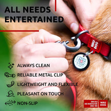 Load image into Gallery viewer, WAUDOG Waterproof Dog Leash 4 Ft 6 Ft Anti Slip Dog Leash for Large Dogs For Pet With Love