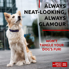 Load image into Gallery viewer, WAUDOG Ultra Soft Rolled Leather Dog Collar for Small Dogs Soft Padded Dog