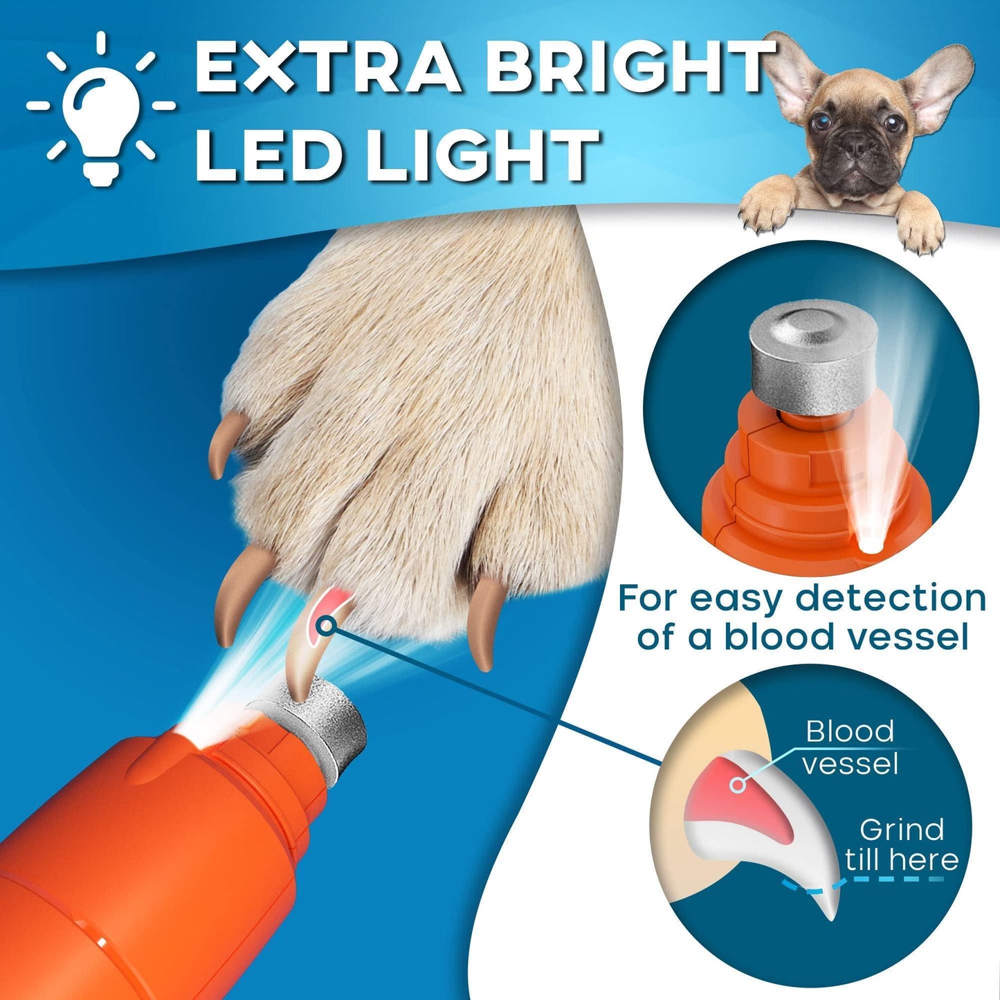 PRIMENS Rechargeable Dog Nail Grinder with LED Light (Orange) For Pet With Love