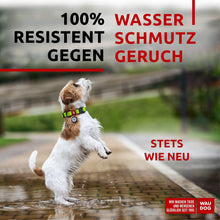 Load image into Gallery viewer, WAUDOG Adjustable Waterproof Heavy Duty Dog Collar with Durable Metal Clasp and QR Dog Tag. SMALL (Green) For Pet With Love