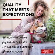 Load image into Gallery viewer, Nylon Dog Leash for Small Dogs and Medium Dogs 4 Ft Strong Dog Leash for For Pet With Love