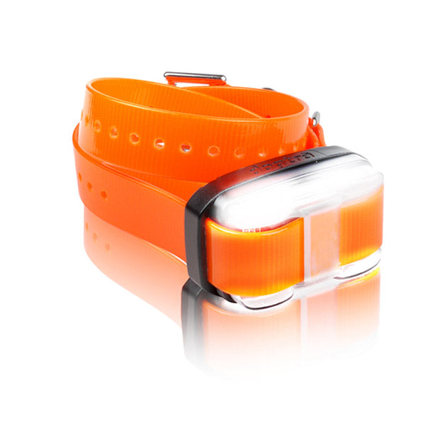 Dogtra EDGE 1 Mile Extra Dog Collar Orange For Pet With Love