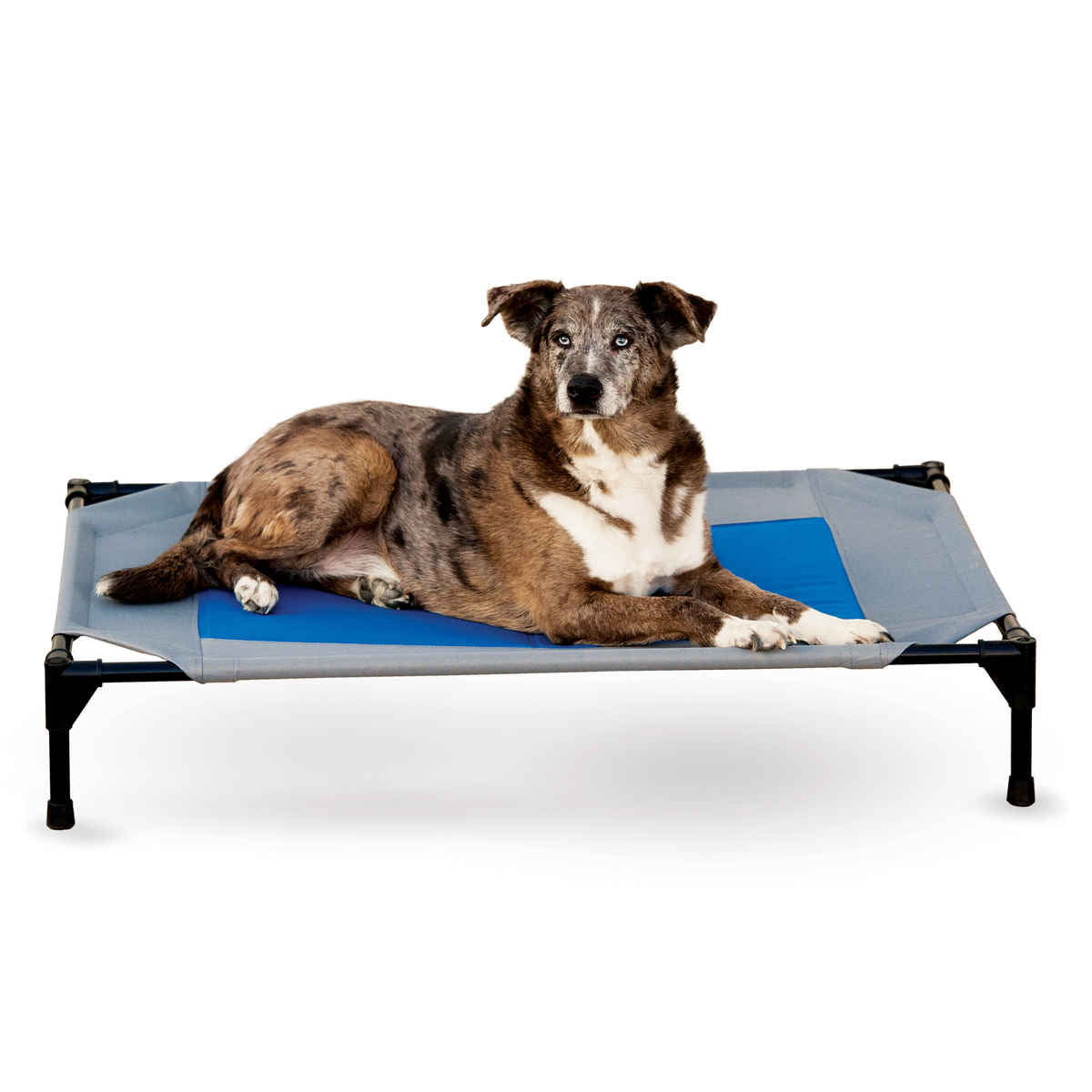 K&H Pet Products Coolin' Pet Cot Large Gray / Blue 30 x 42 x 7 For Pet With Love