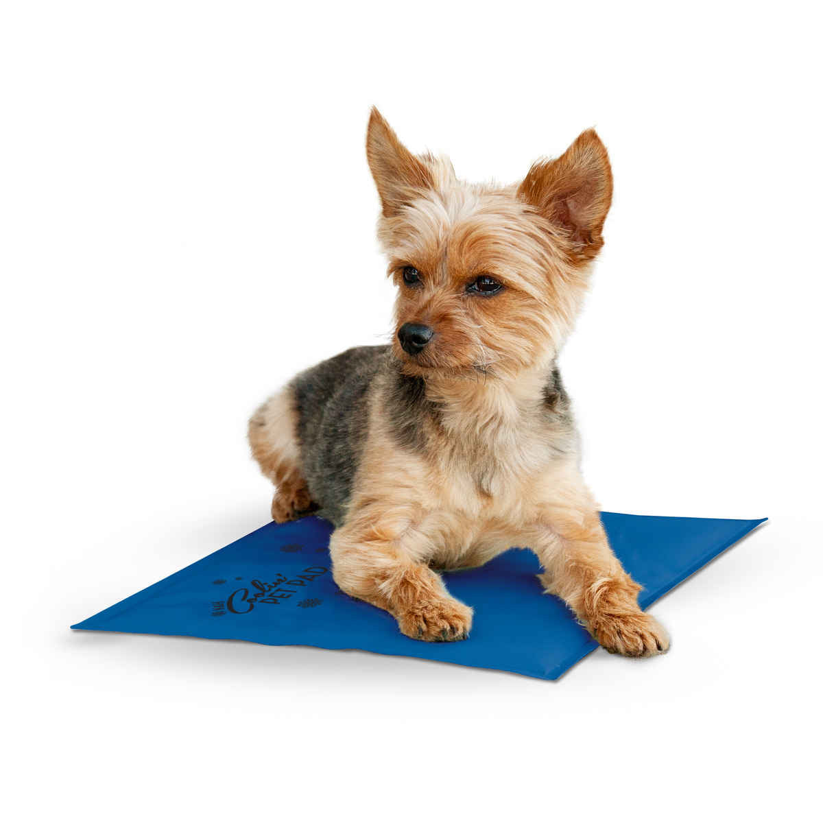 K&H Pet Products Coolin Pet Pad Small Blue 11 x 15 x 0.75 For Pet With Love