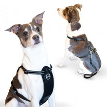 Load image into Gallery viewer, K&H Pet Products Travel Safety Pet Harness Large Black For Pet With Love