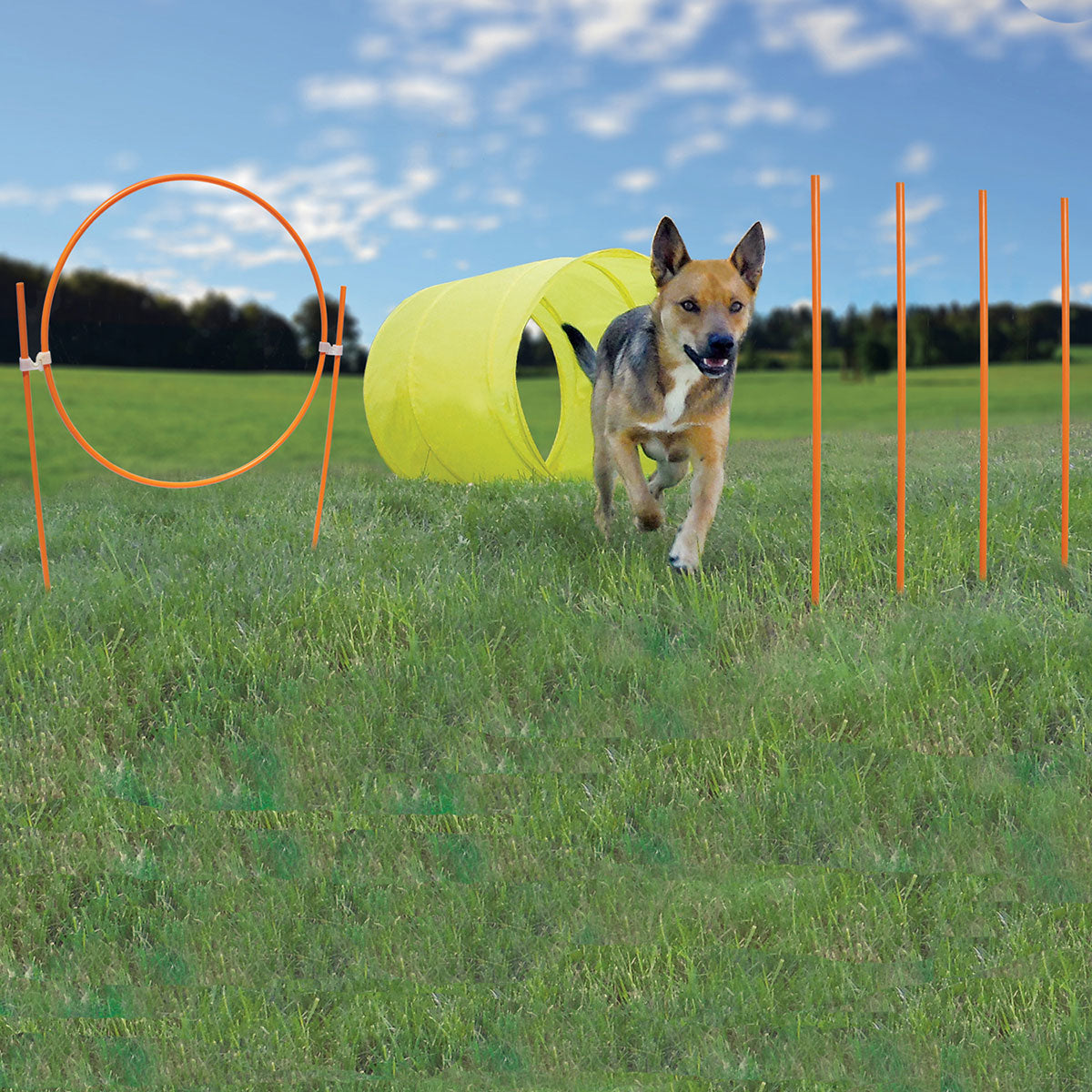 Outward Hound Dog Agility Starter Kit Outdoor For Pet With Love