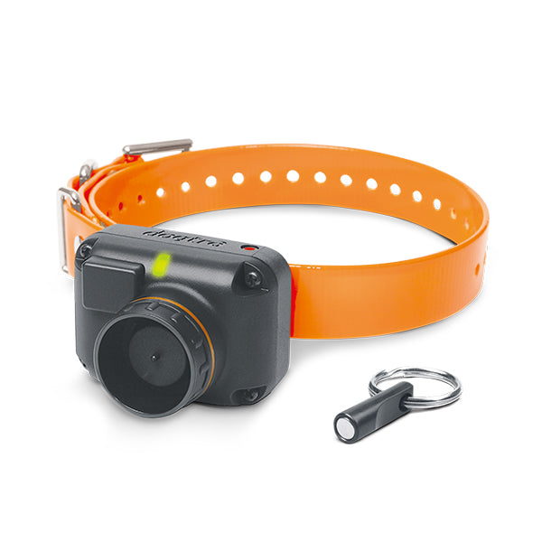 Dogtra Edge RT Additional Receiver For Pet With Love