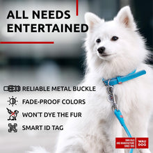 Load image into Gallery viewer, WAUDOG Ultra Soft Rolled Leather Soft Padded Dog Collar. BLUE. X-Small For Pet With Love