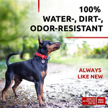 Load image into Gallery viewer, WAUDOG Adjustable Waterproof Dog Collar with Plastic Buckle and QR Dog Tag RED SMALL