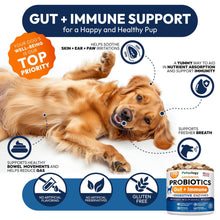 Load image into Gallery viewer, PETSOLOGY Digestive Enzymes & Prebiotics Supplement for Dogs 170 Chews For Pet With Love