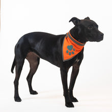 Load image into Gallery viewer, SafetyPUP XD HiVisibility Reflective Blaze Orange Dog Bandana SMALL For Pet With Love
