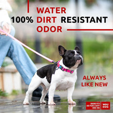 Load image into Gallery viewer, WAUDOG Adjustable Waterproof Heavy Duty Dog Collar with Durable Plastic Buckle and QR Dog Tag. MEDIUM (Pink) For Pet With Love