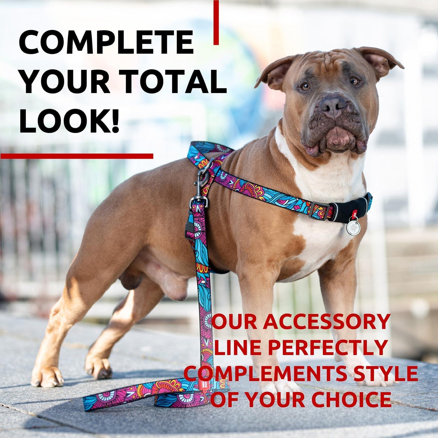 WAUDOG Nylon Dog Leash for Small Dogs and Medium Dogs 4 Ft Strong Dog Leash For Pet With Love