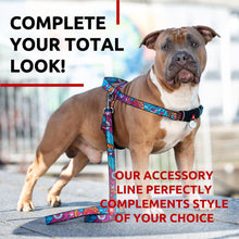 Load image into Gallery viewer, WAUDOG Nylon Dog Leash for Small Dogs and Medium Dogs 4 Ft Strong Dog Leash For Pet With Love