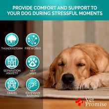 Load image into Gallery viewer, Vet Promise Advanced Calming Hemp Anxiety Relief Chews for Dogs with Melatonin. Stress & Separation Anxiety, Sleep Aid, Hip and Joint Supplement Support. Made in USA (70 Treats) For Pet With Love