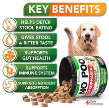 Load image into Gallery viewer, Vet Promise NO POO Advanced Coprophagia Stool Eating Deterrent for Dogs. Probiotics & Digestive Enzymes Supplement. Made in USA. 120 Soft Chews For Pet With Love