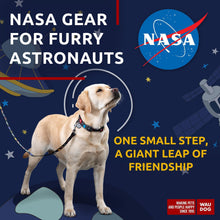 Load image into Gallery viewer, Nylon Dog Leash for Small Dogs and Medium Dogs 4 Ft Strong Dog Leash for For Pet With Love