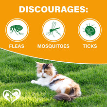 Load image into Gallery viewer, Beloved Pets Revolution Flea and Tick Prevention Chewable Pills for Cats. Pest Control & Natural Defense. Chewables Small Tablets. Made in USA (240 Chicken Flavored Chews)