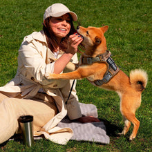 Load image into Gallery viewer, Tactical Dog Desert Camouflage Breathable Harness with Handle MEDIUM For Pet With Love