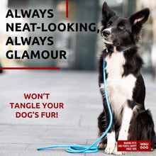 Load image into Gallery viewer, WAUDOG Rolled Leather GLAMOUR Dog Leash 4Ft * 0.4in for Small Medium and Large Dogs (Blue) For Pet With Love