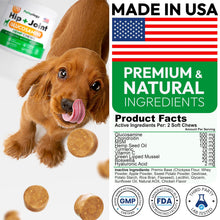 Load image into Gallery viewer, PETSOLOGY Hemp Hip and Joint Mobility Support Supplement for Dogs 170 Chews