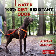 Load image into Gallery viewer, WAUDOG Waterproof Dog Harness Adjustable Dog Harness for Large Dogs Small and For Pet With Love