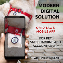 Load image into Gallery viewer, Waterproof Dog Harness Adjustable Dog Harness for Large Dogs Small and Medium For Pet With Love