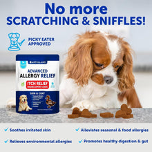 Load image into Gallery viewer, Artullano Dog Itching Skin & Coat Anti Itch, Hot Spots, and Allergy Relief Treatment. Immune Health Supplement for Dogs with Fish Oil and Omega 3. 70 Treats. Duck Flavor.