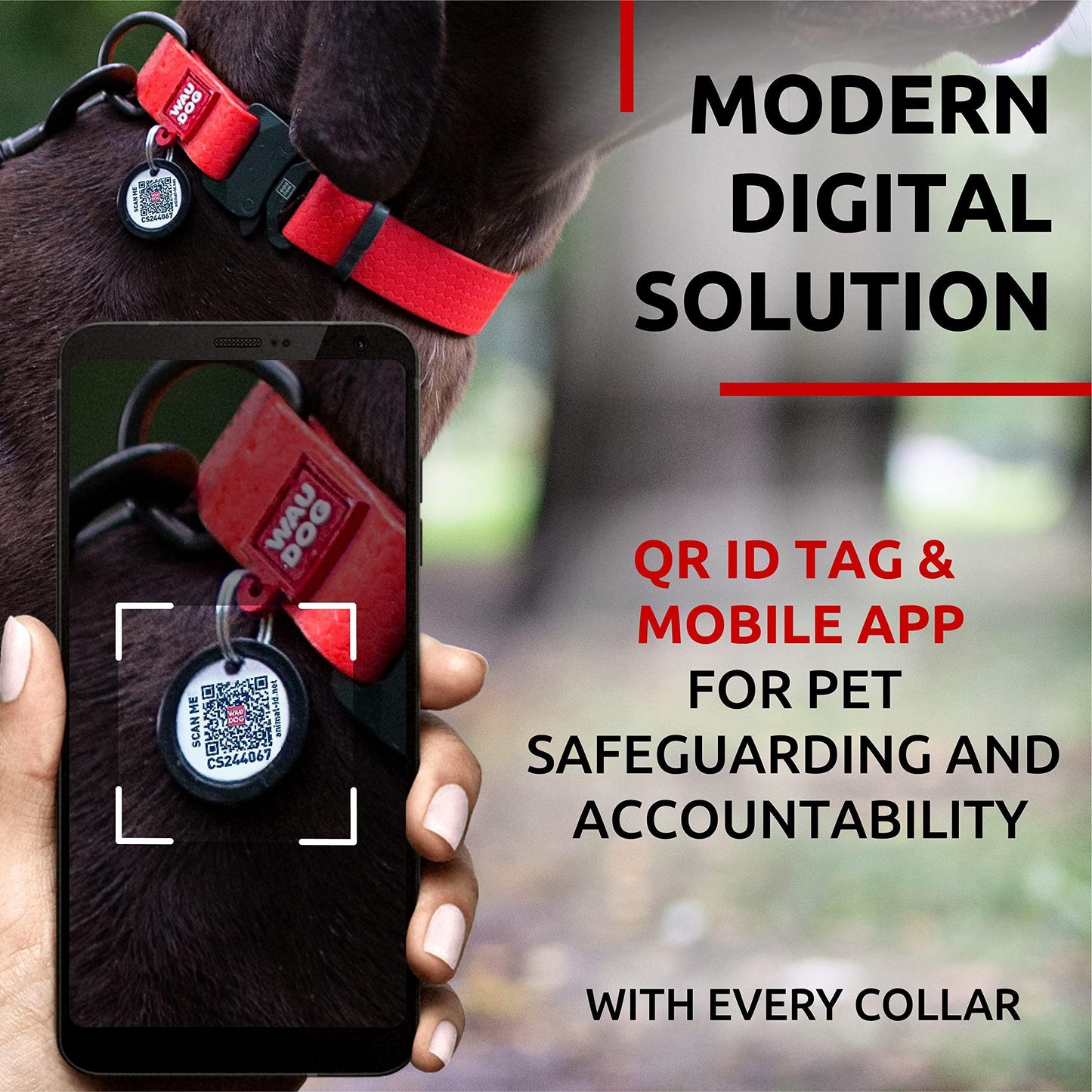 WAUDOG Heavy Duty Waterproof Dog Collar with Durable Metal Clasp and QR Dog Tag. LARGE For Pet With Love